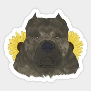 Brindle American Bully with Sunflowers Sticker